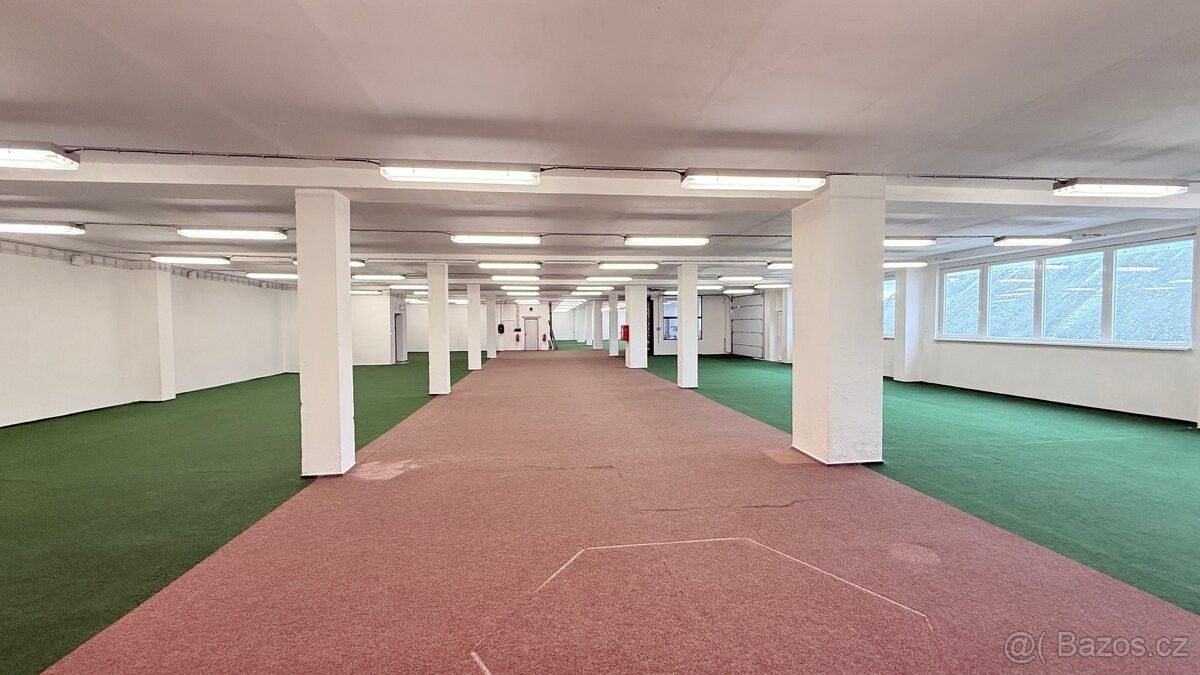 Obchodní prostory, Polepy, 411 47