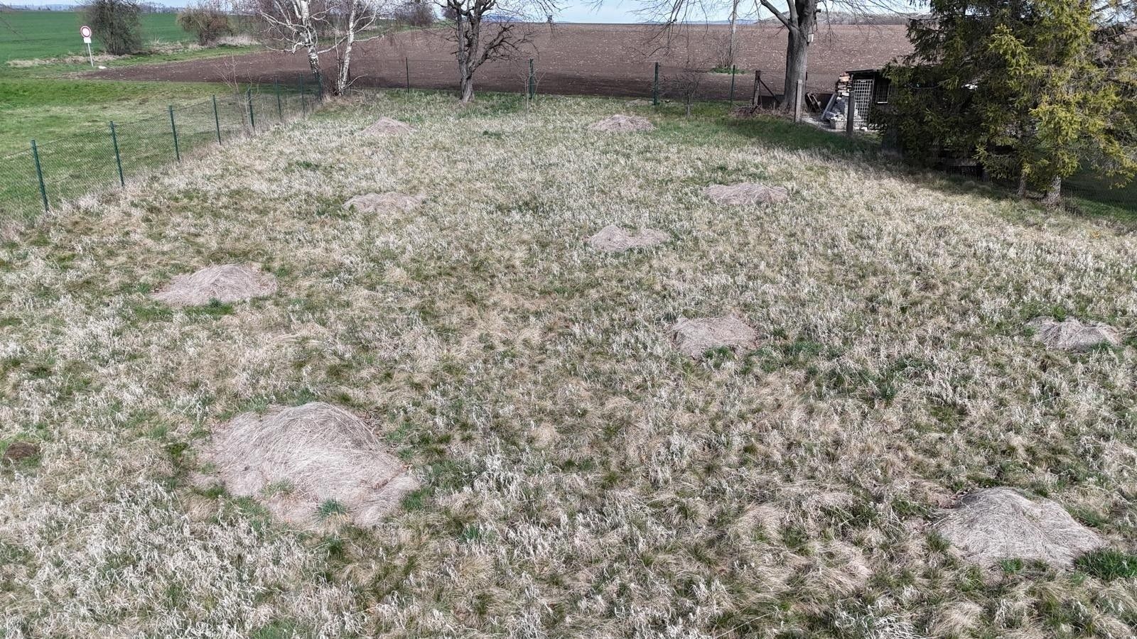 Prodej pozemek pro bydlení - Loděnice, Holasovice, 959 m² - 5
