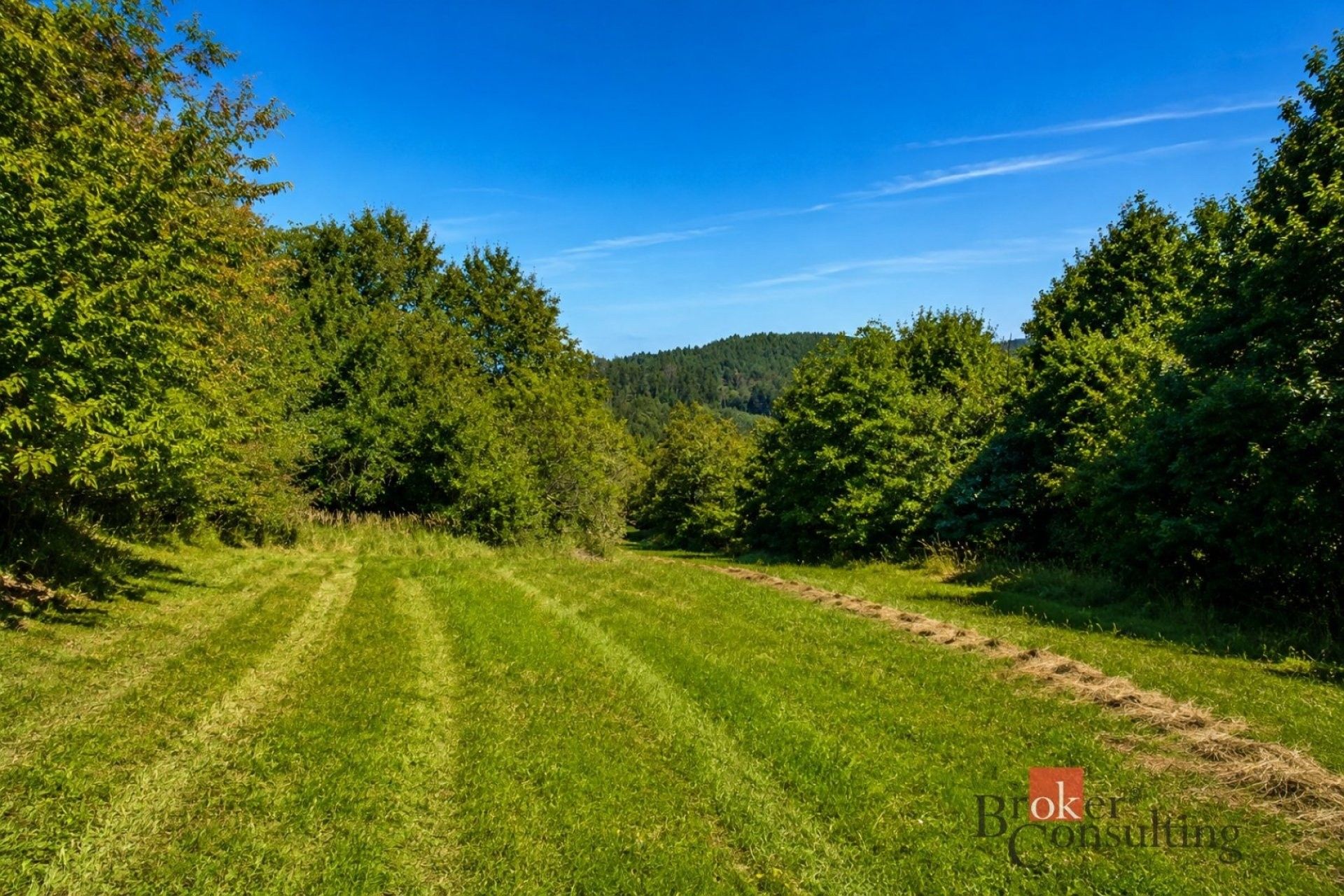 Louka · 3 075 m² · Borotín - 4