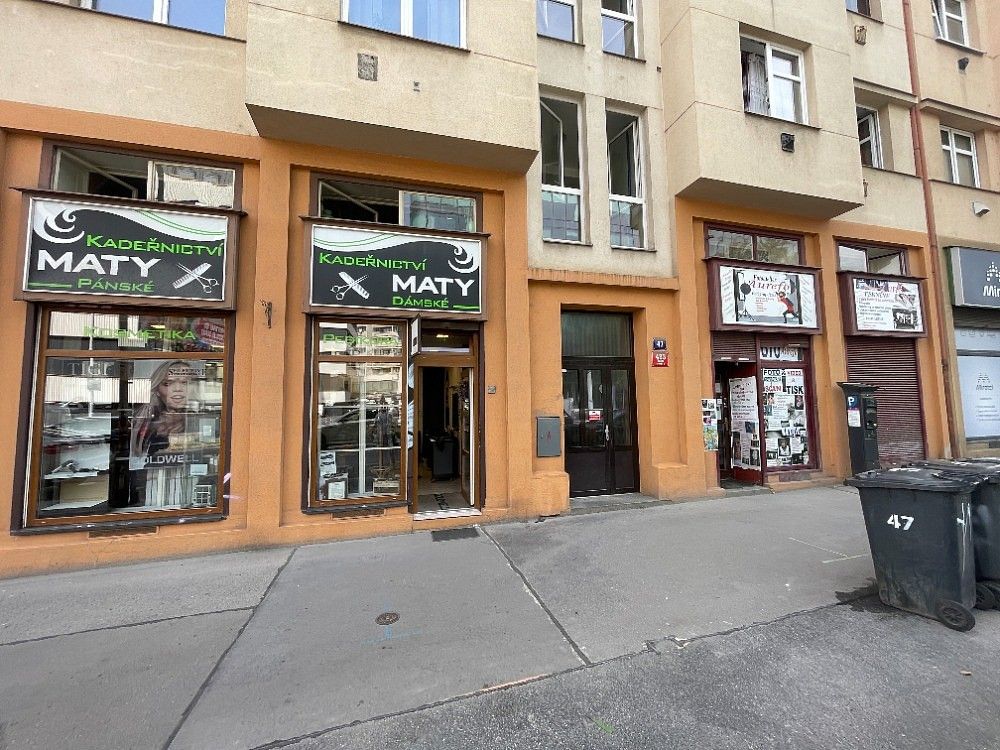 Prodej byt 1+1 - Vrchlického, Praha 5 - Košíře, 50 m² - 5