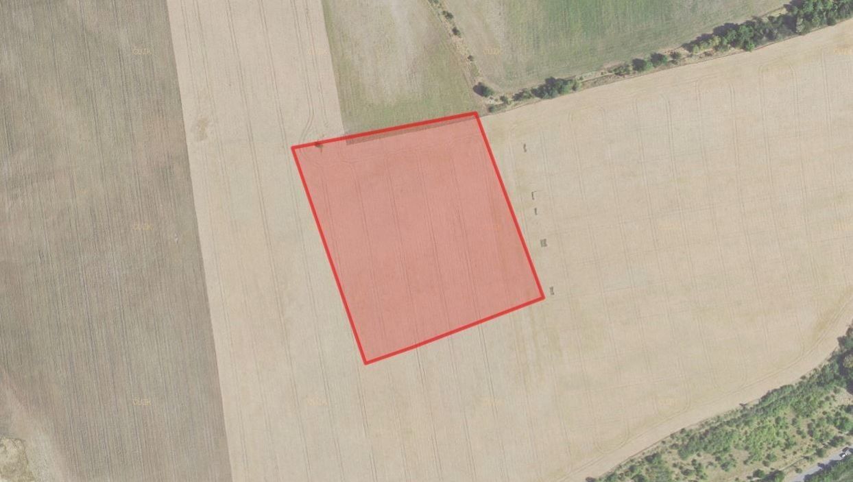 Zemědělské pozemky, Zvoleněves, 7 081 m²