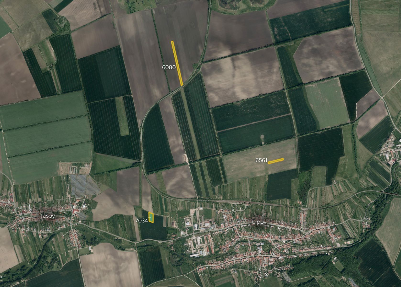 Zemědělské pozemky, Lipov - 1