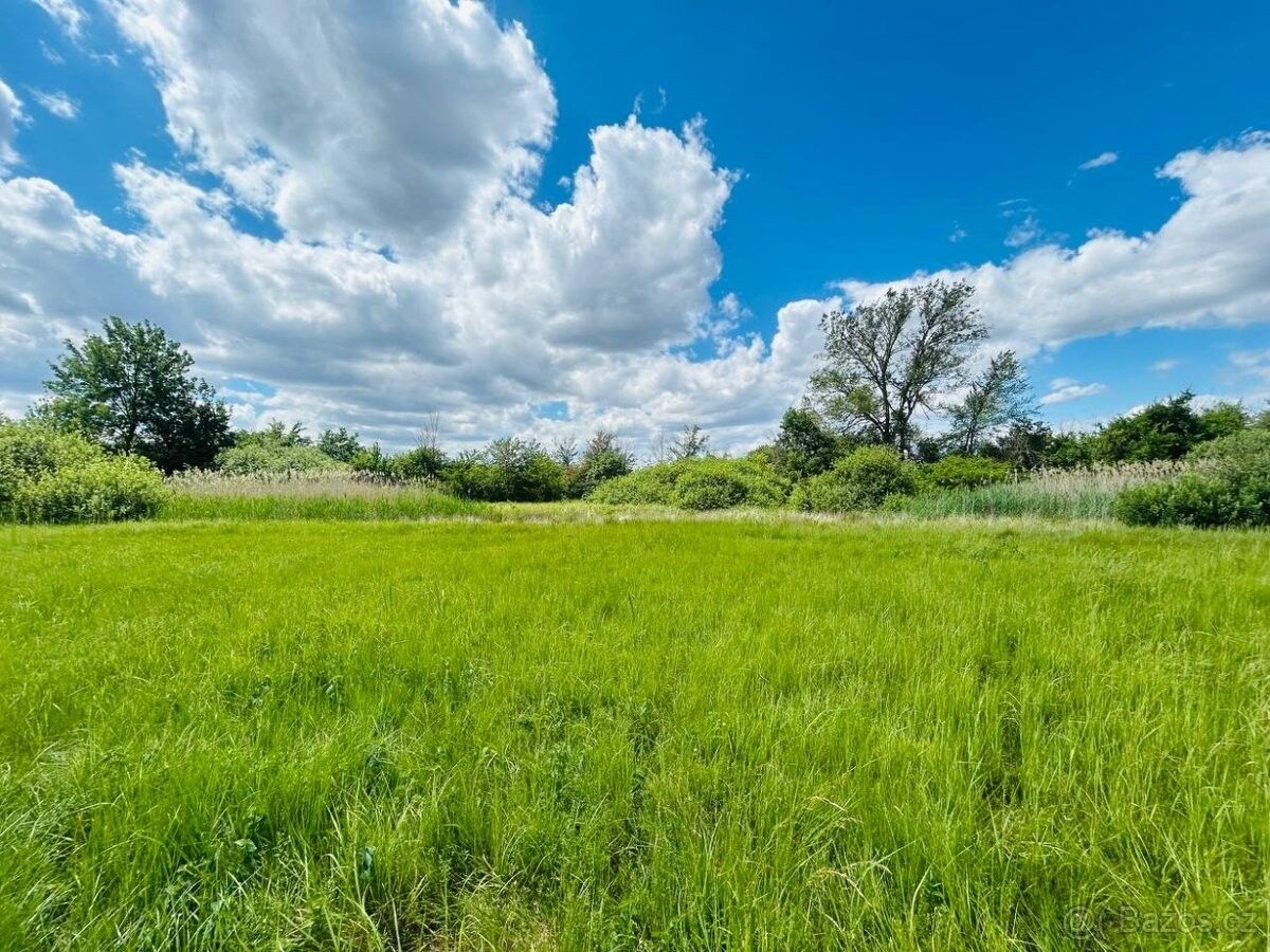 Pozemky pro bydlení, Břeclav, 690 02
