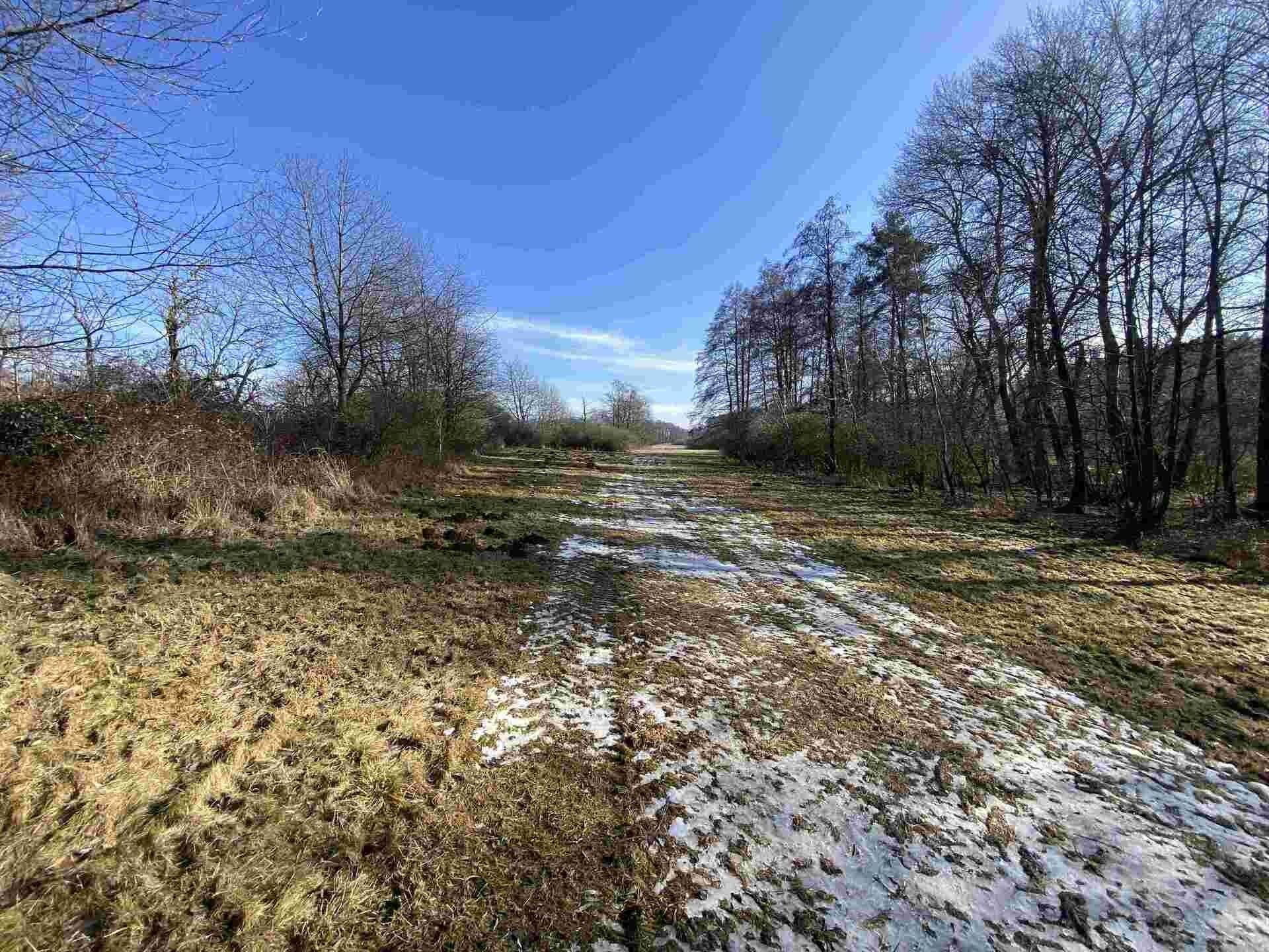 Zemědělské pozemky, Kváskovice, 10 470 m² - 2