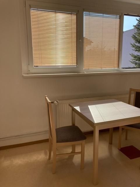 1+kk, U Dubu, Praha - Braník, 30 m² - 1