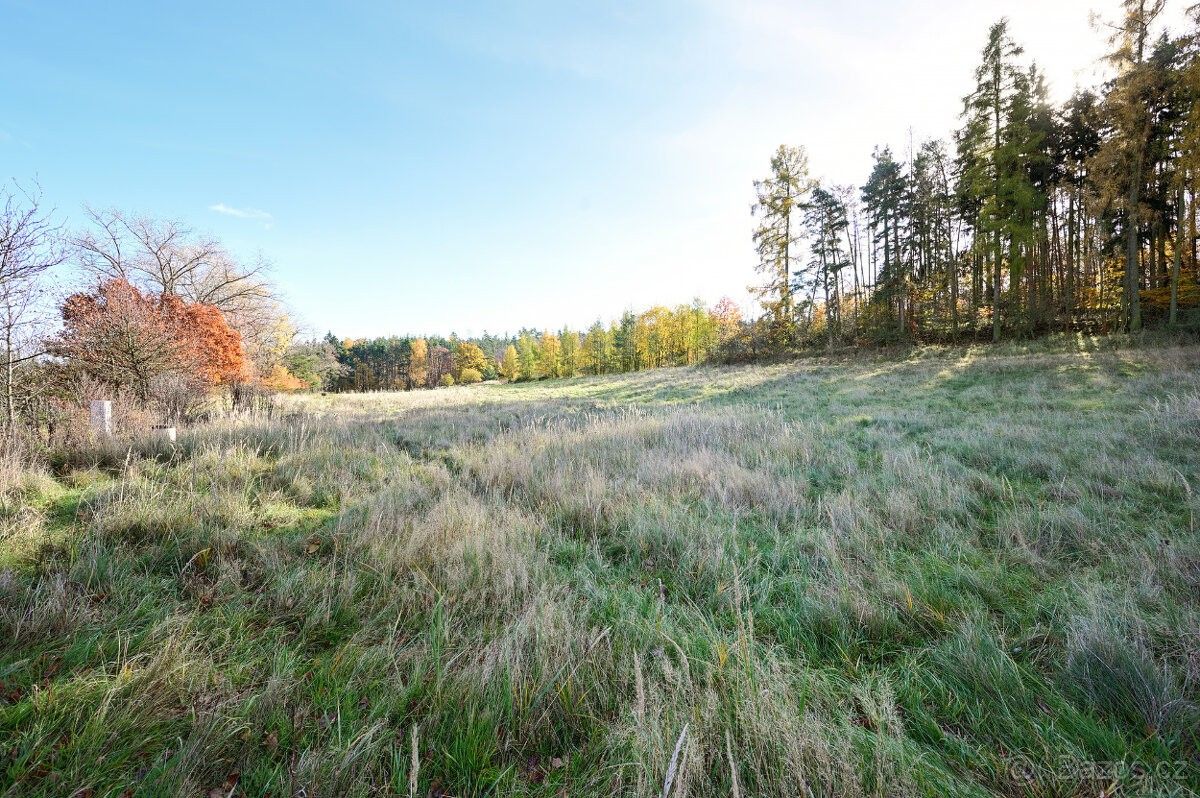 Prodej pozemek pro bydlení - Dobříš, 263 01
