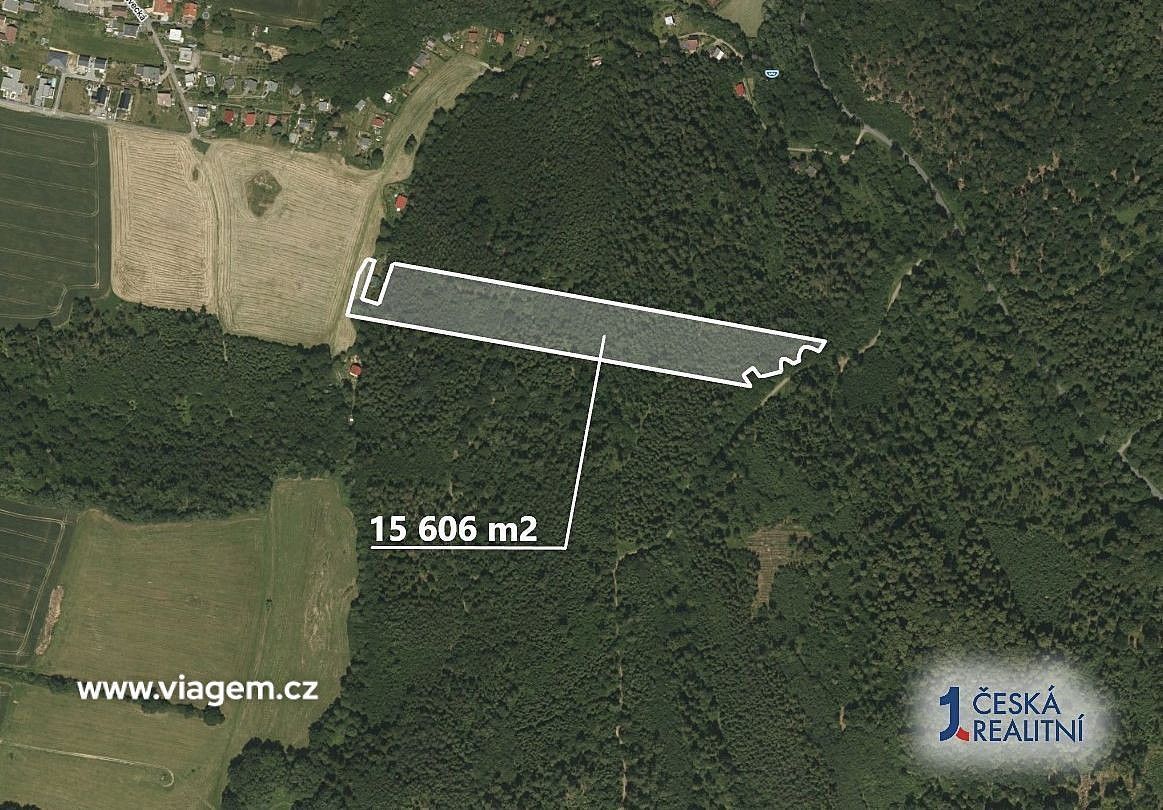 Prodej les - Opava, Moravskoslezský kraj - 2