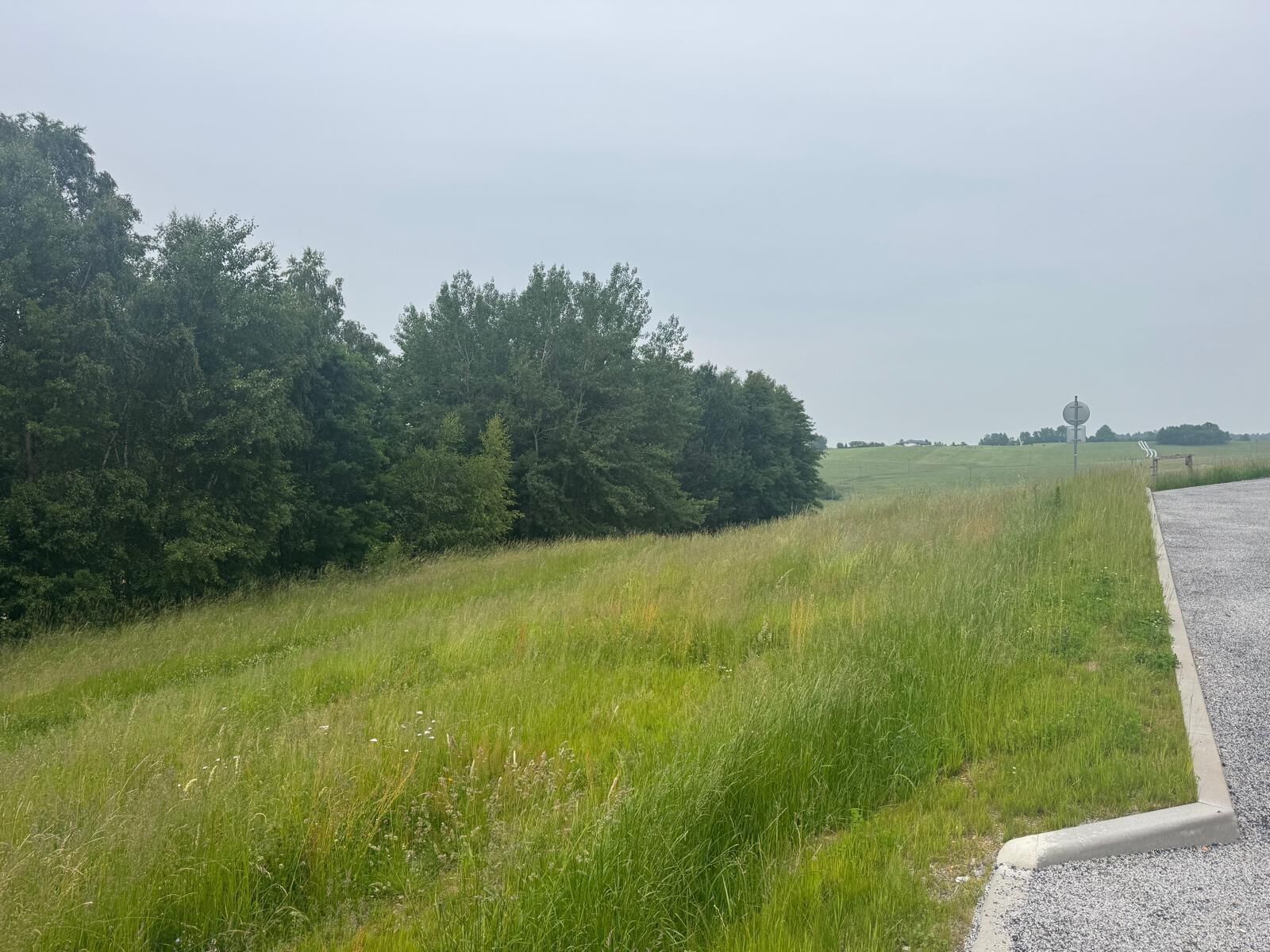 Pozemek pro bydlení · 1 251 m² · Slavče Dobrkovská Lhotka - 3