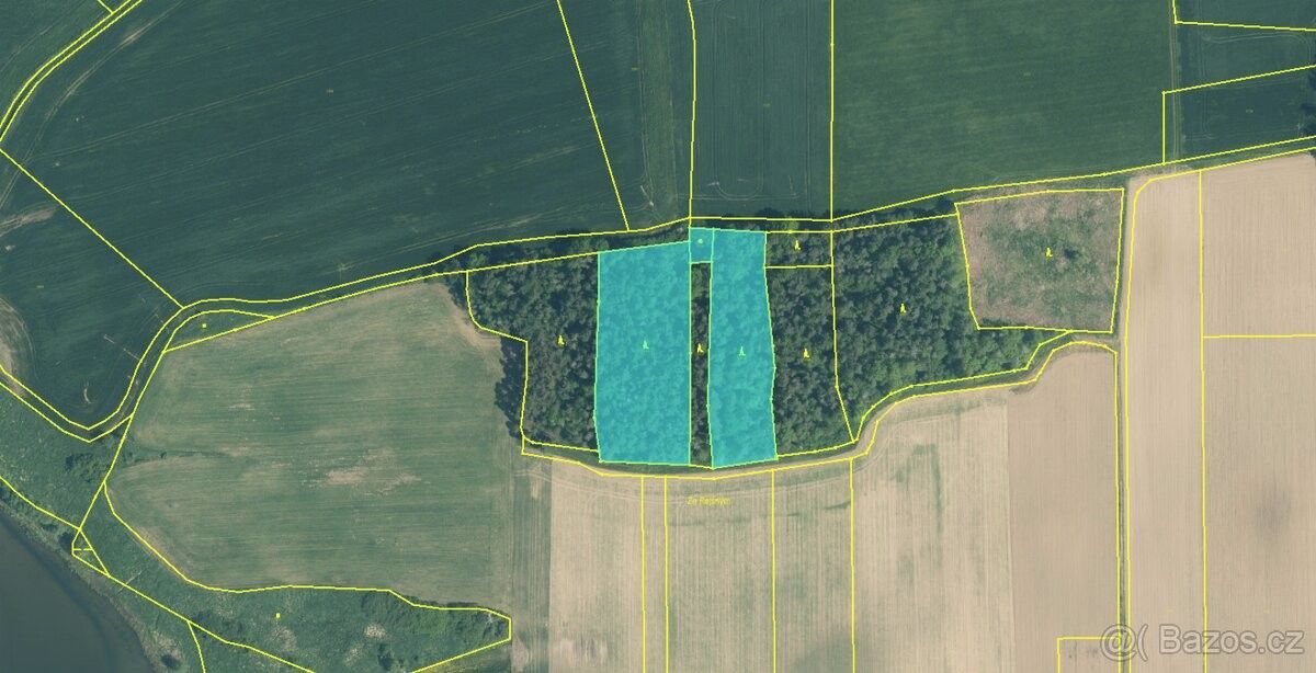 Prodej pozemek pro bydlení - Čimelice, 398 04