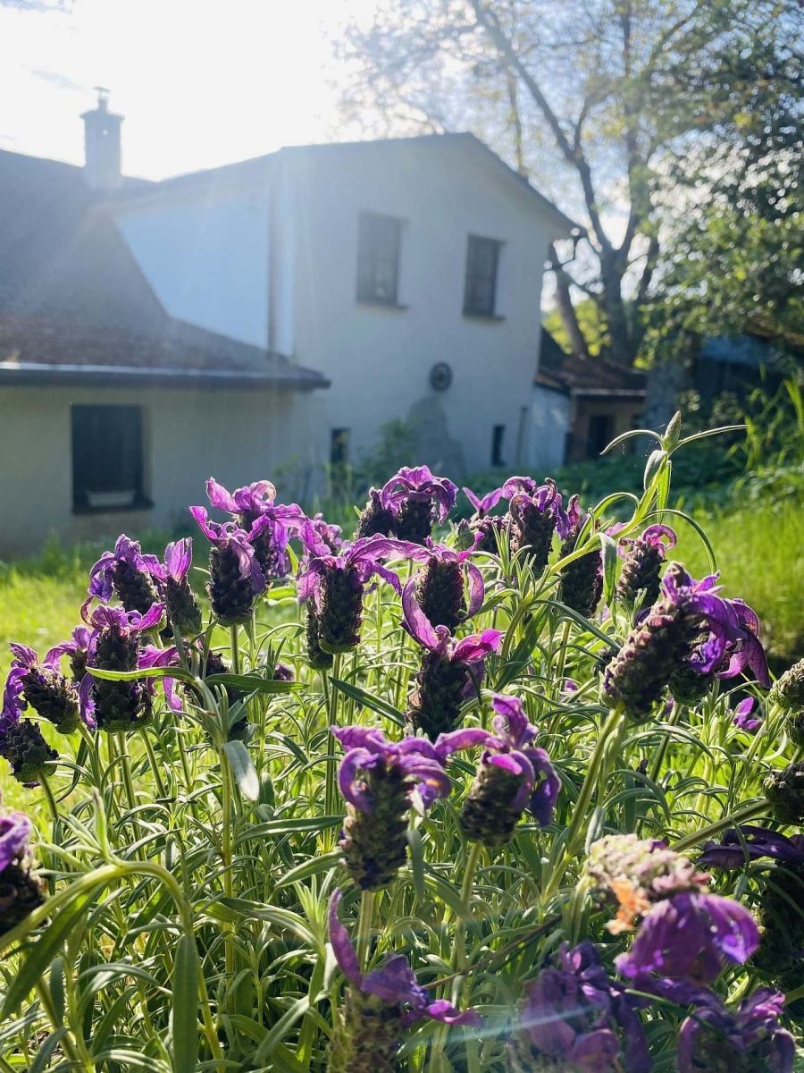 Chaty, Klopina - Veleboř, Olomoucký kraj - 2