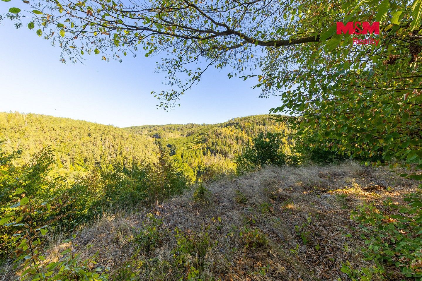 Lesy, Lomnice, okres Brno-venkov, Jihomoravský kraj - 2
