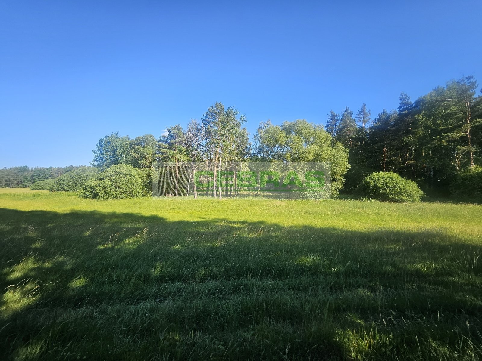 Prodej louka - Třeboňská, Třeboň, 3 029 m² - 5