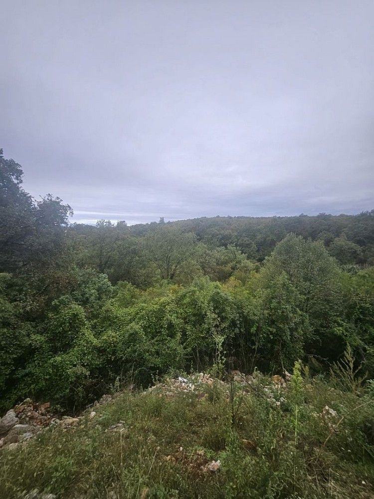 Pozemek pro bydlení, 4 500 m²