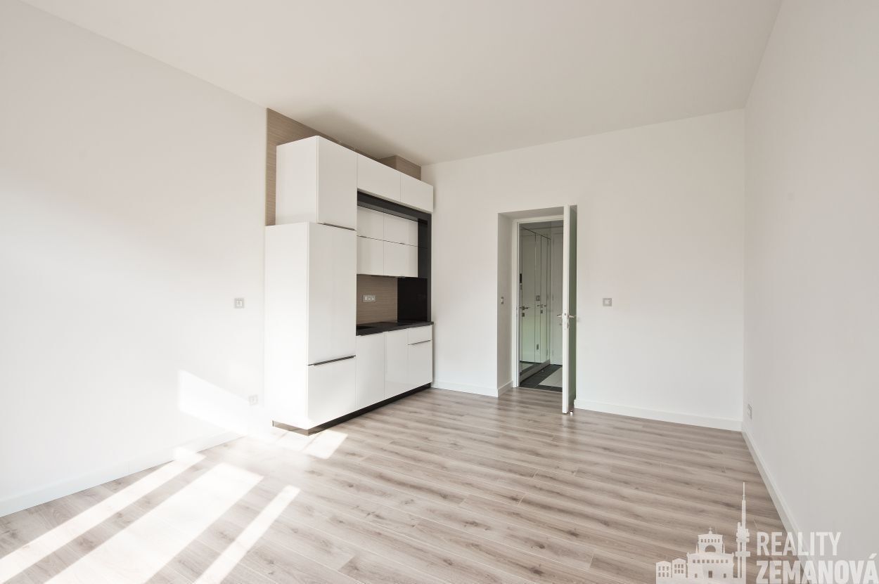 1+kk, Bořivojova, Praha, 31 m²