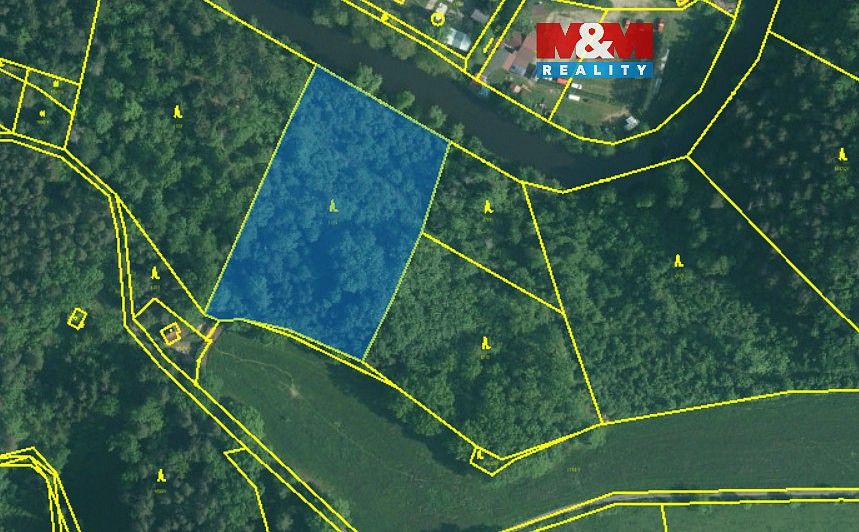 Lesy, Římov - Branišovice, okres České Budějovice, Jihočeský kraj - 1