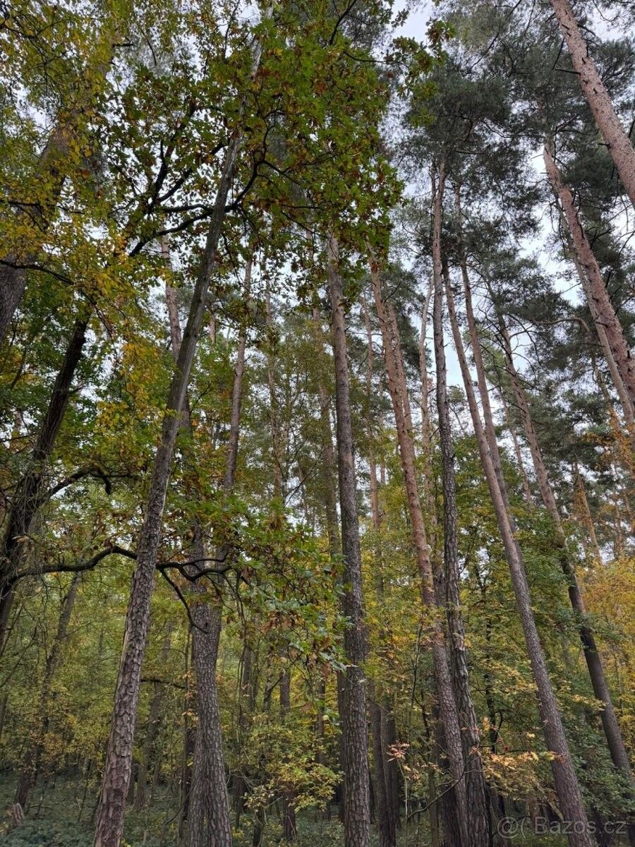 Prodej pozemek pro bydlení - Horšovský Týn, 346 01