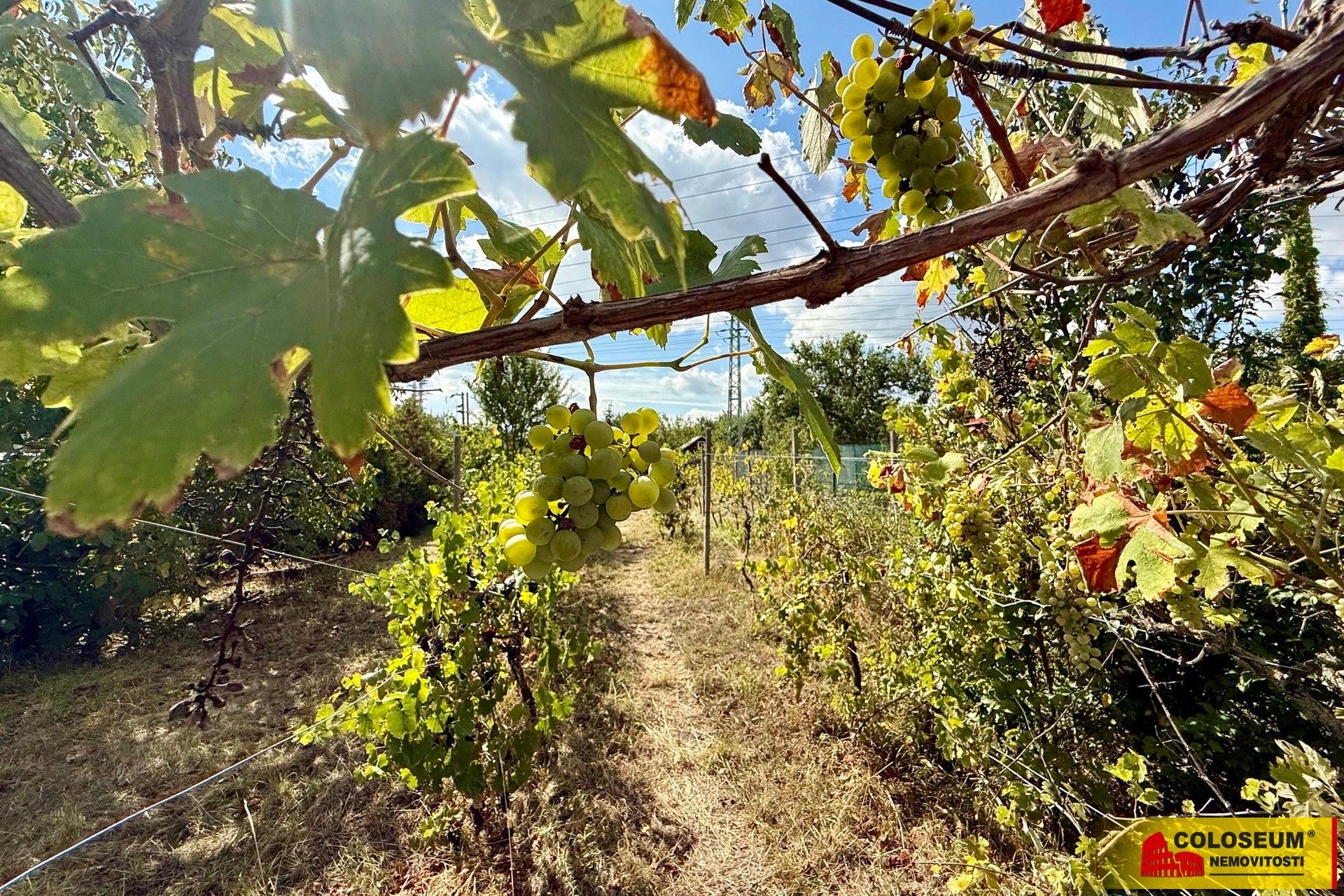 Prodej chata - Suchohrdly, 30 m²