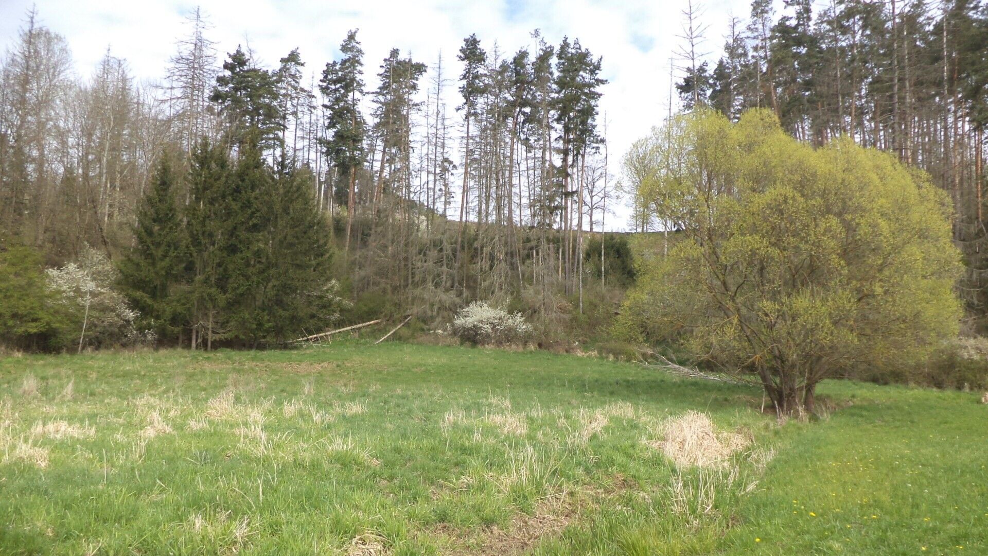 Prodej pozemek - Dančovice, Dešná, 4 m²