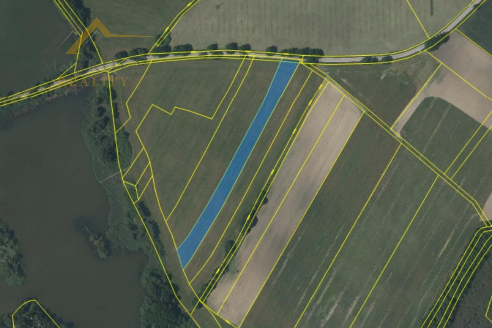 Prodej zemědělský pozemek - Dívčice, 10 895 m² - 5