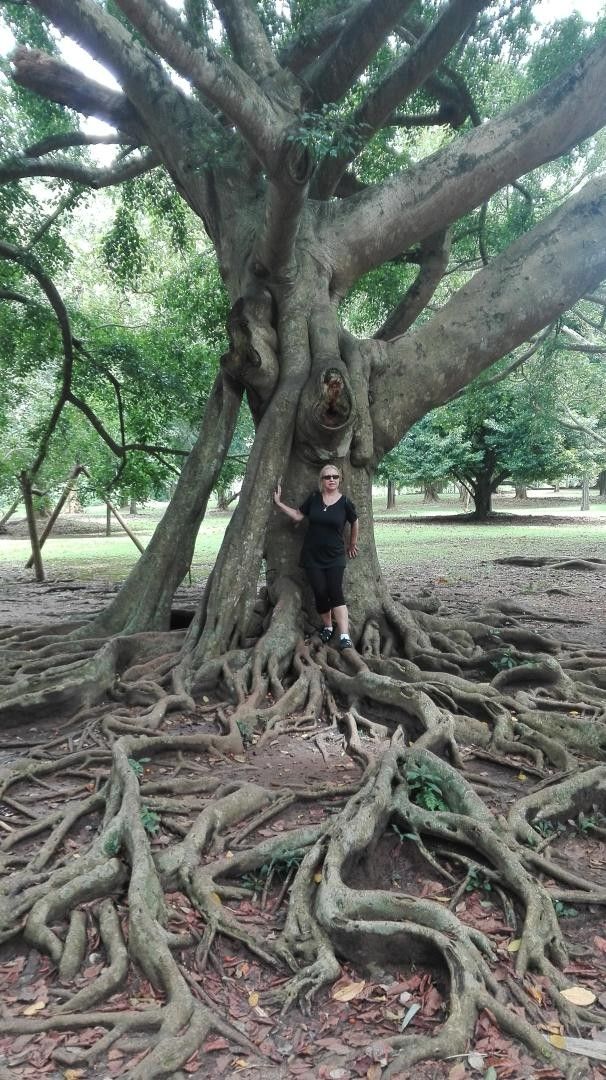 Rodinné domy, Úvaly, 600 m²