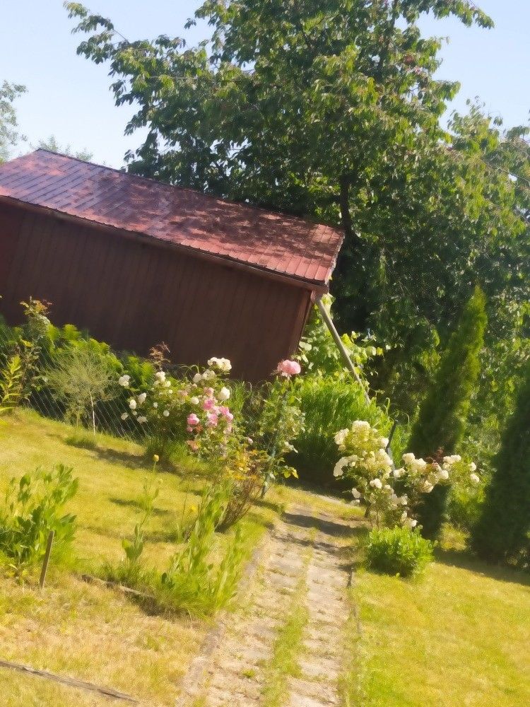 Zahrady, Ostrava, 700 30, 320 m²