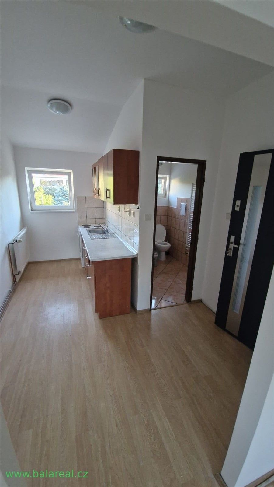 1+kk, Hálkova , Brno Husovice, 23 m² - 1