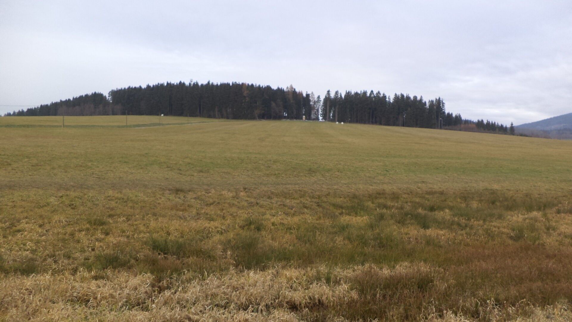 Prodej zemědělský pozemek - Horní Planá, 39 897 m² - 5