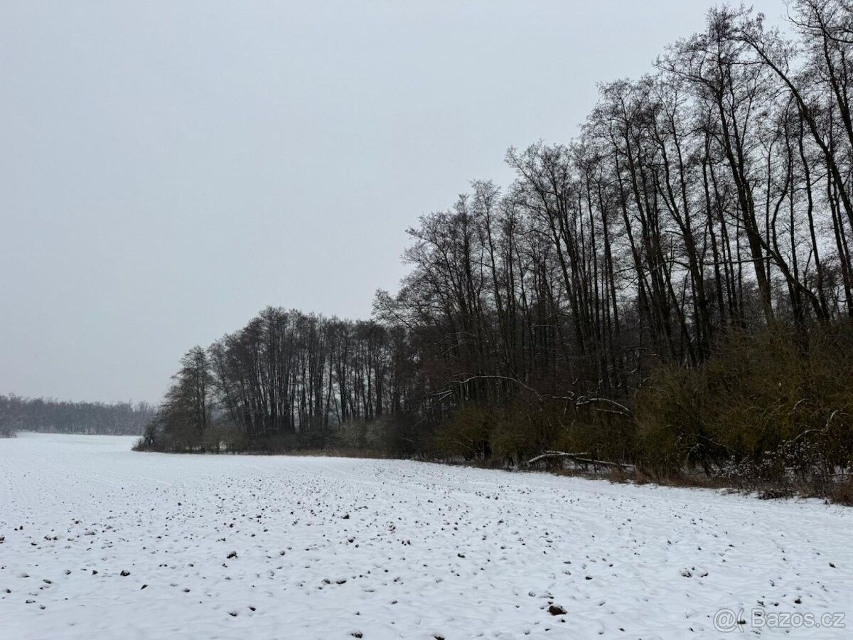 Pozemky pro bydlení, Ivančice, 664 91