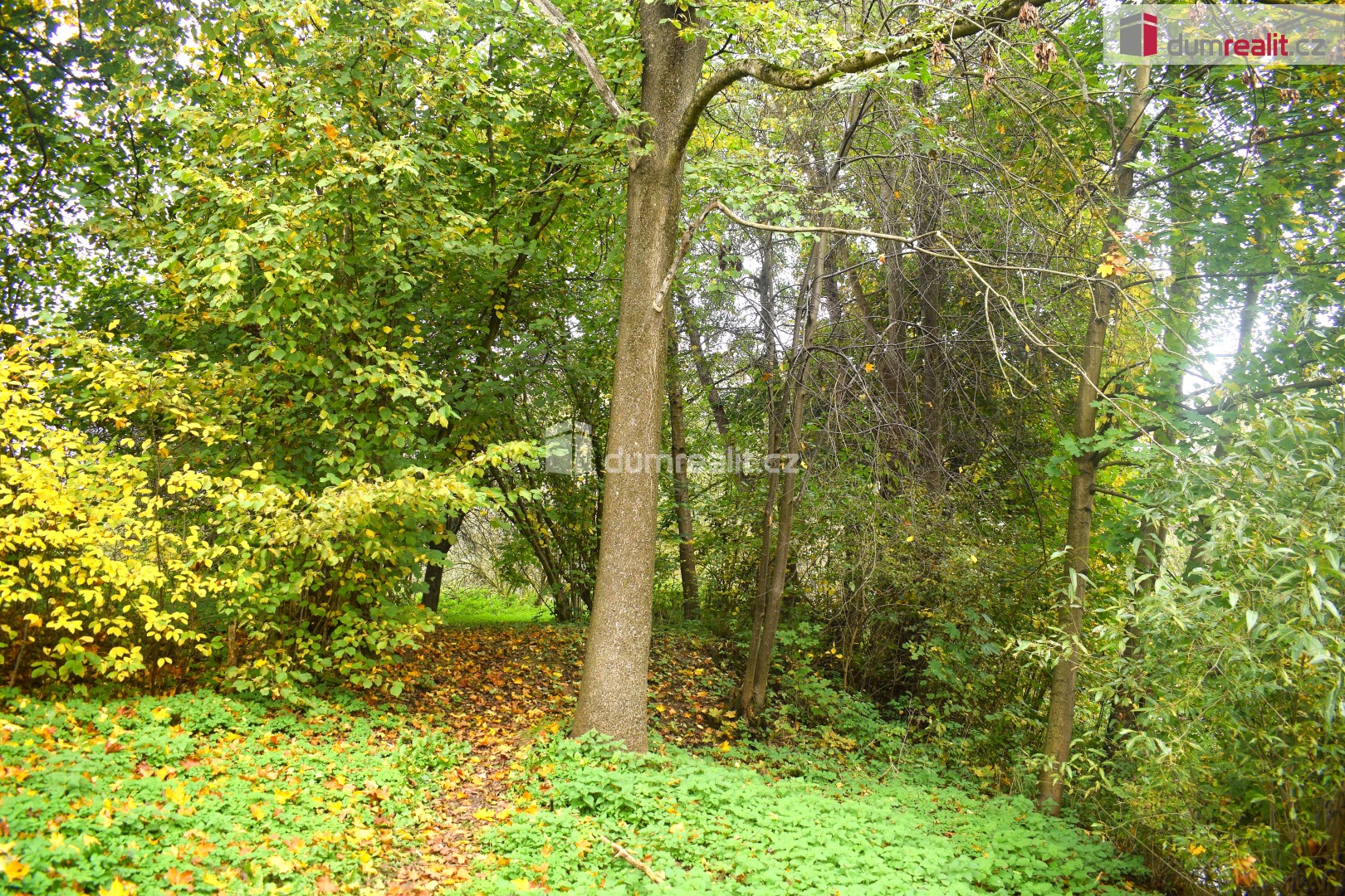 Prodej pozemek pro bydlení - Bedrč, Benešov, 1 535 m² - 5