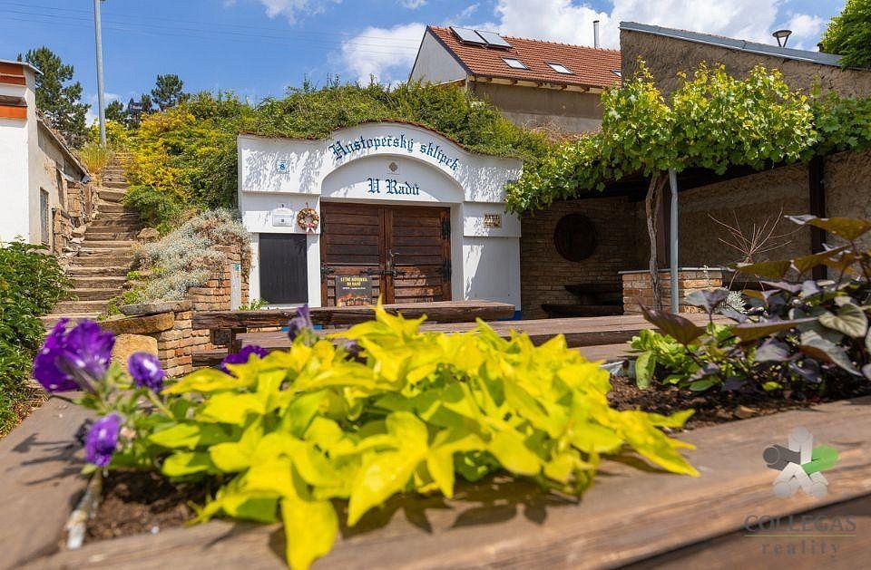 Ostatní, Hustopeče, okres Břeclav, Jihomoravský kraj, 421 m² - 1