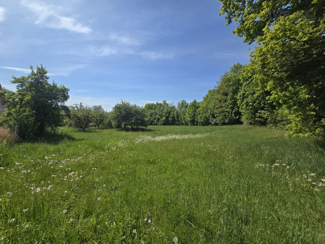 Pozemek pro bydlení · 731 m² · Maršovice - 3