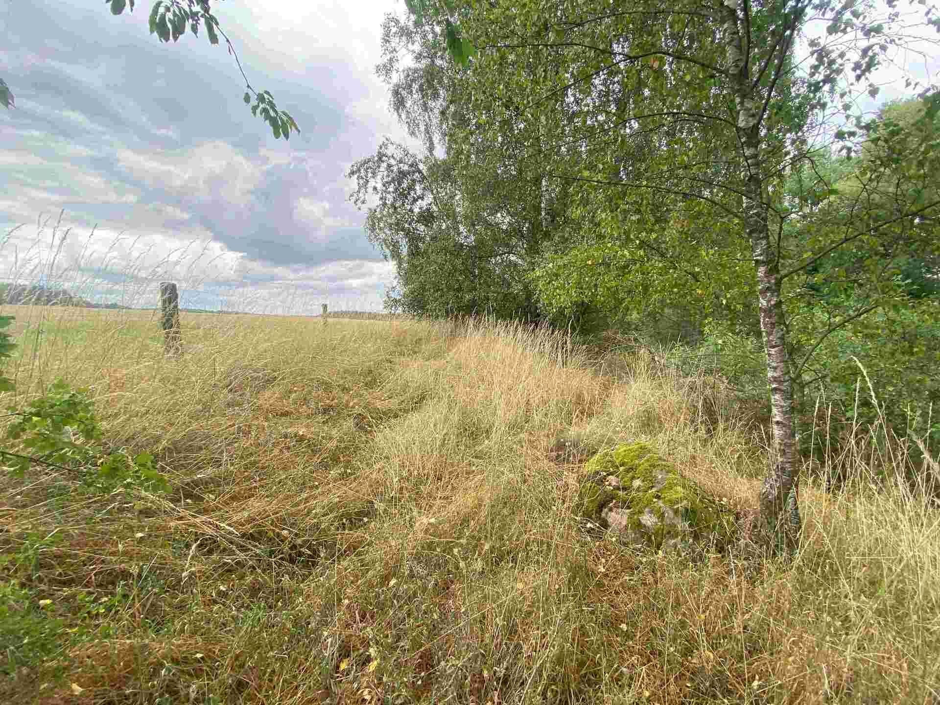 Pozemek · 2 230 m² · Kladruby Tuněchody - 3