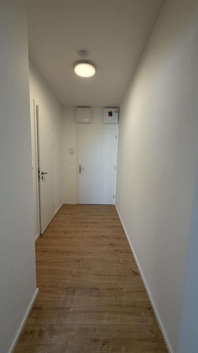 1+kk, Brno-Vinohrady, Brno, 32 m² - 2