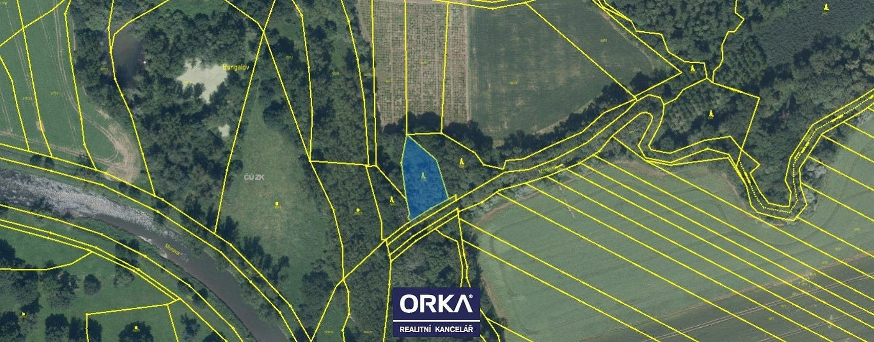 Lesy, Tovačov - Tovačov I-Město, okres Přerov, Olomoucký kraj - 1