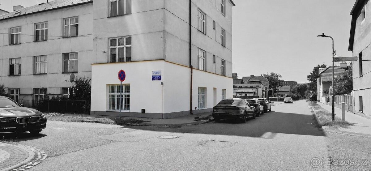 Obchodní prostory, Břeclav, 690 02 - 1
