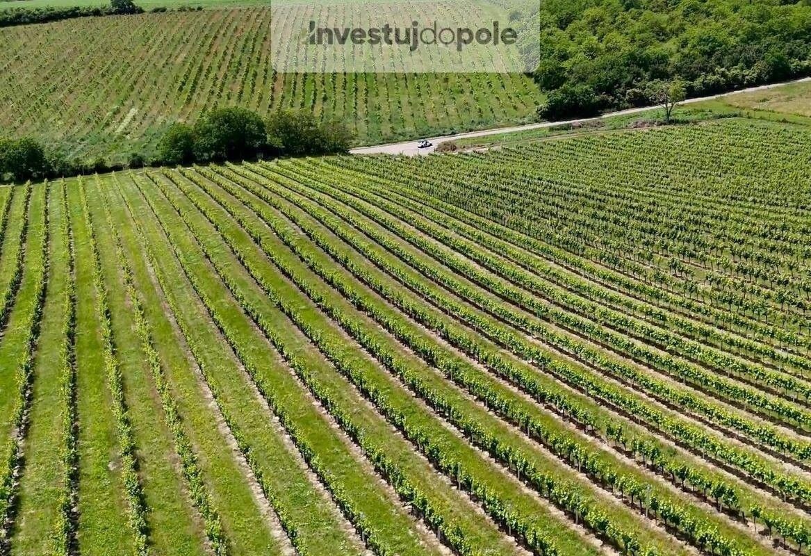 Prodej pozemek - Šardice, 56 697 m²