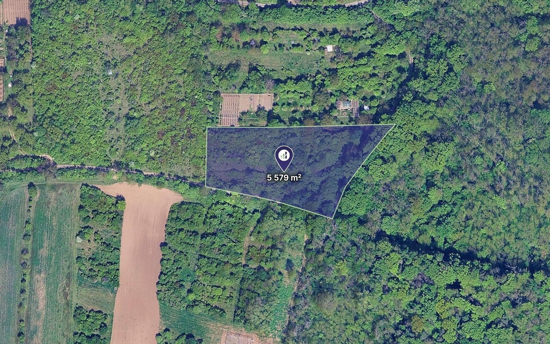 Prodej zahrada - Židlochovice, 5 579 m² - 1