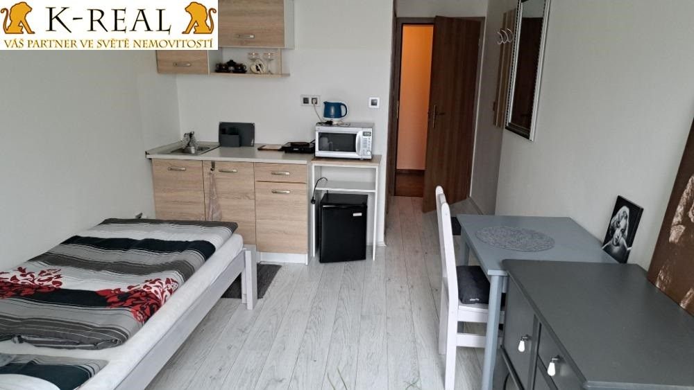 Byt 1+kk · 24 m² · Brno-Bosonohy - 3