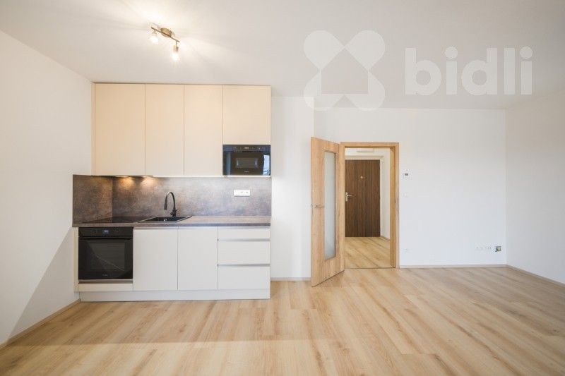 Pronájem byt 1+kk - Dobrovodská 2886, České Budějovice, 41 m²