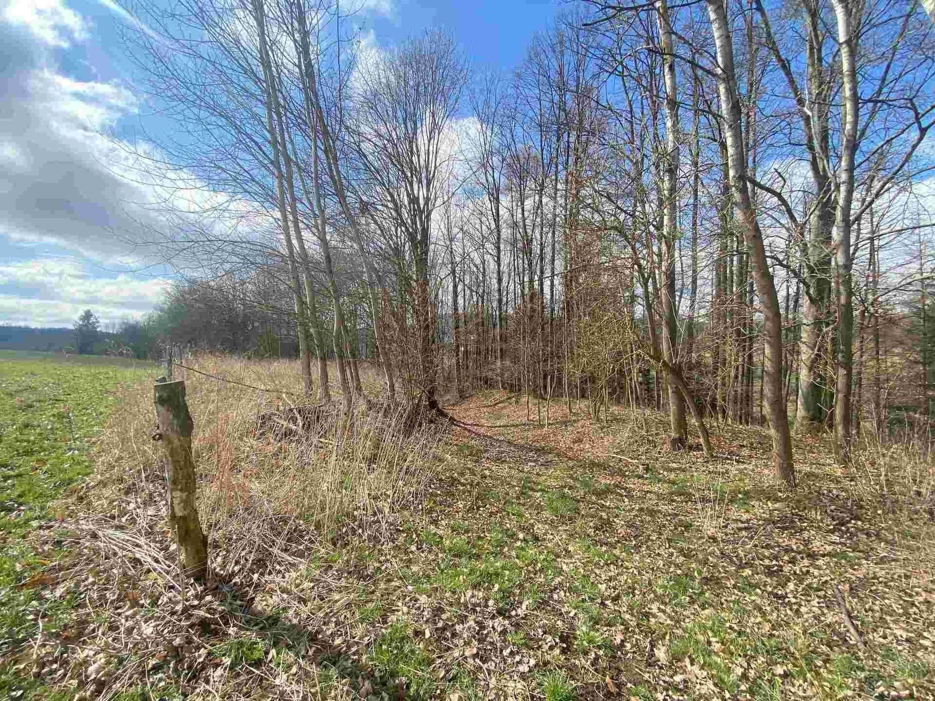 Prodej pozemek - Teplice nad Metují, 5 185 m² - 5