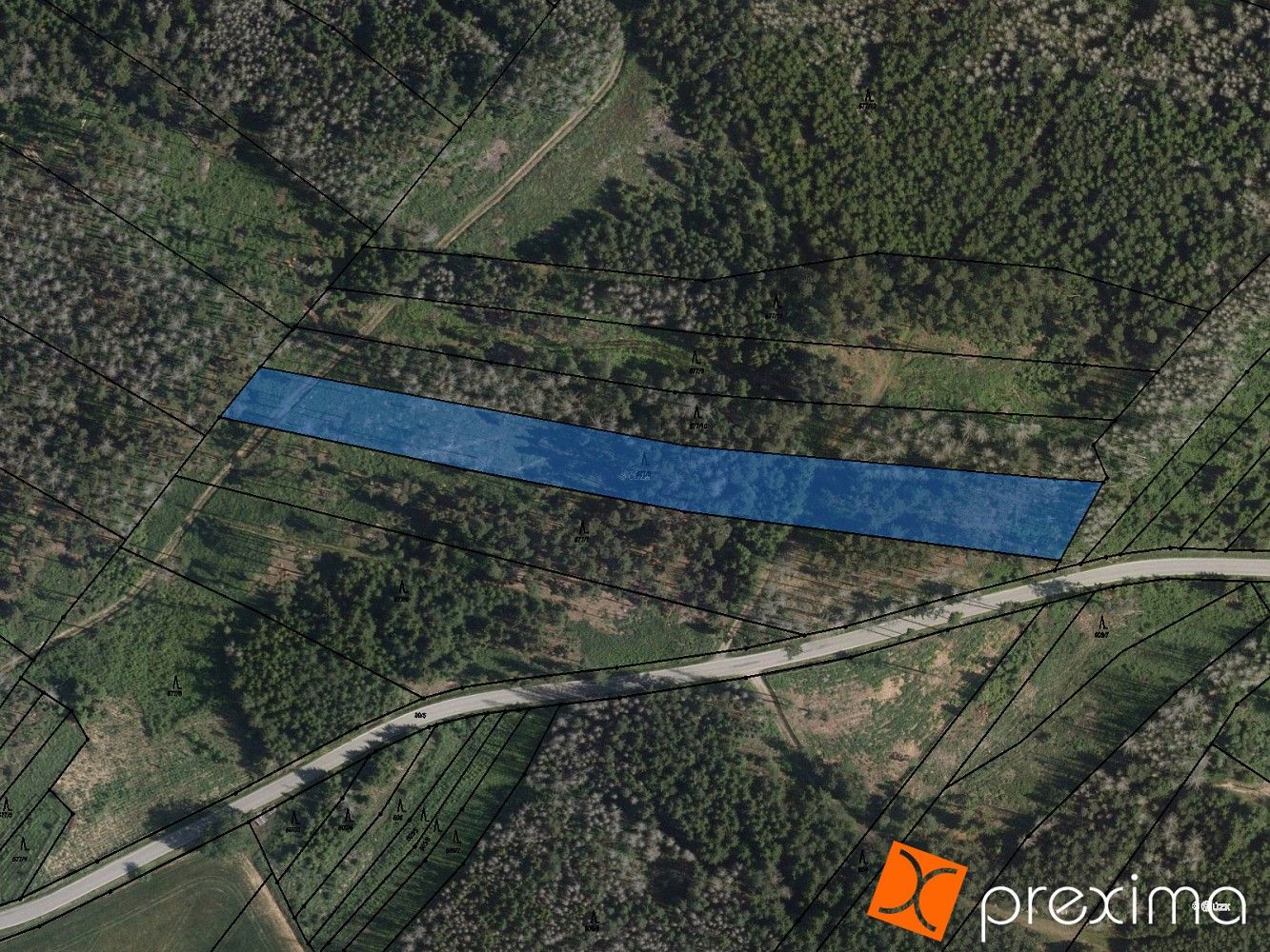 Prodej les - Krasonice, okres Jihlava, Kraj Vysočina - 1