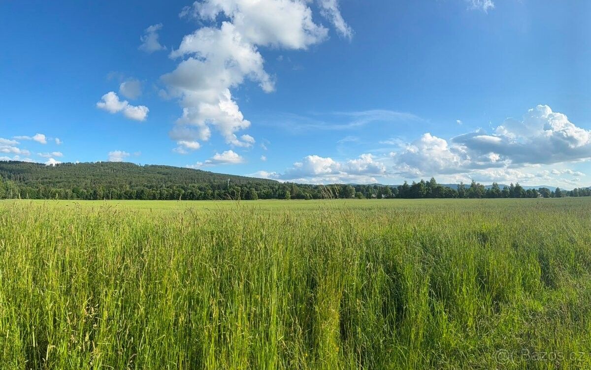 Pozemek pro bydlení · Mikulovice u Jeseníku, 790 84 - 3