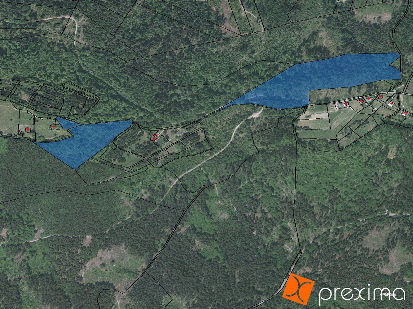 Les · Bukovec, okres Frýdek-Místek, Moravskoslezský kraj - 3