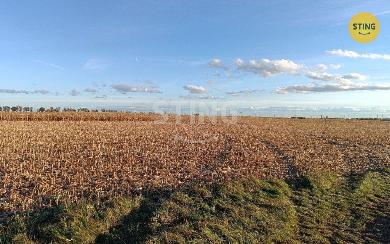 Prodej zemědělský pozemek - Moravský Žižkov, 9 180 m²