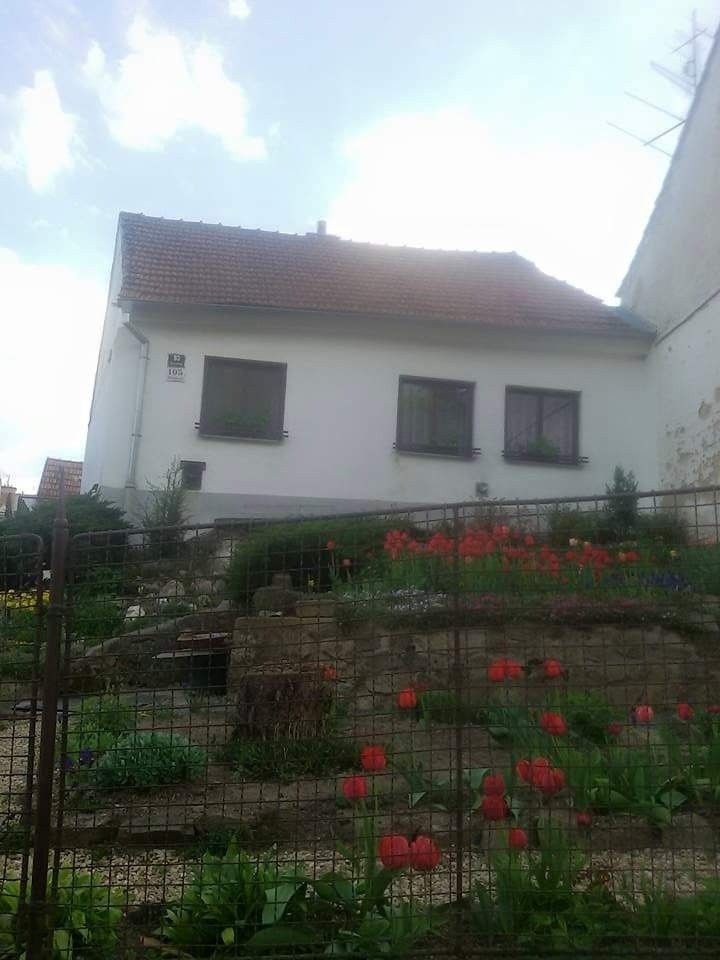 Rodinné domy, Brno, 637 00