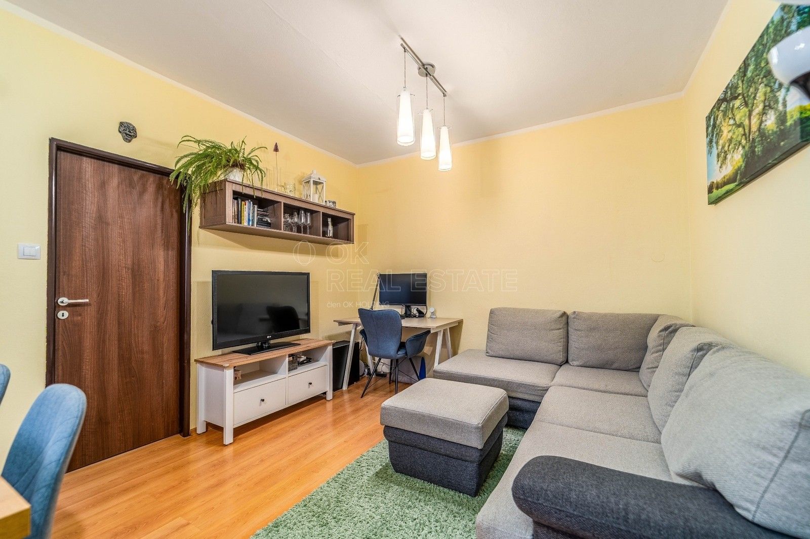 3+1, Fučíkova, Planá, 57 m²