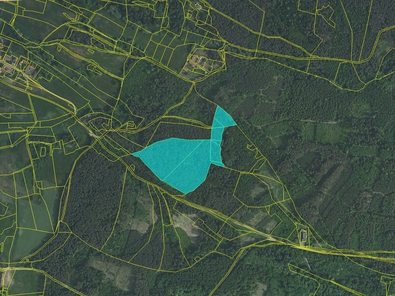 Prodej les - Vystrkov, Kozárovice