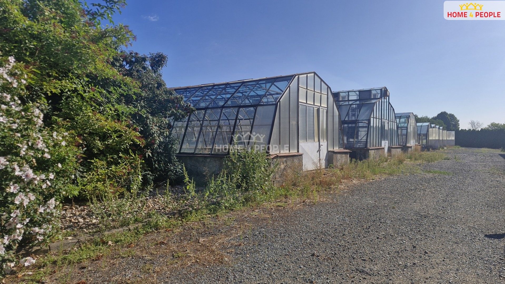 Prodej výrobní prostory - Branišovice, 8 554 m² - 5