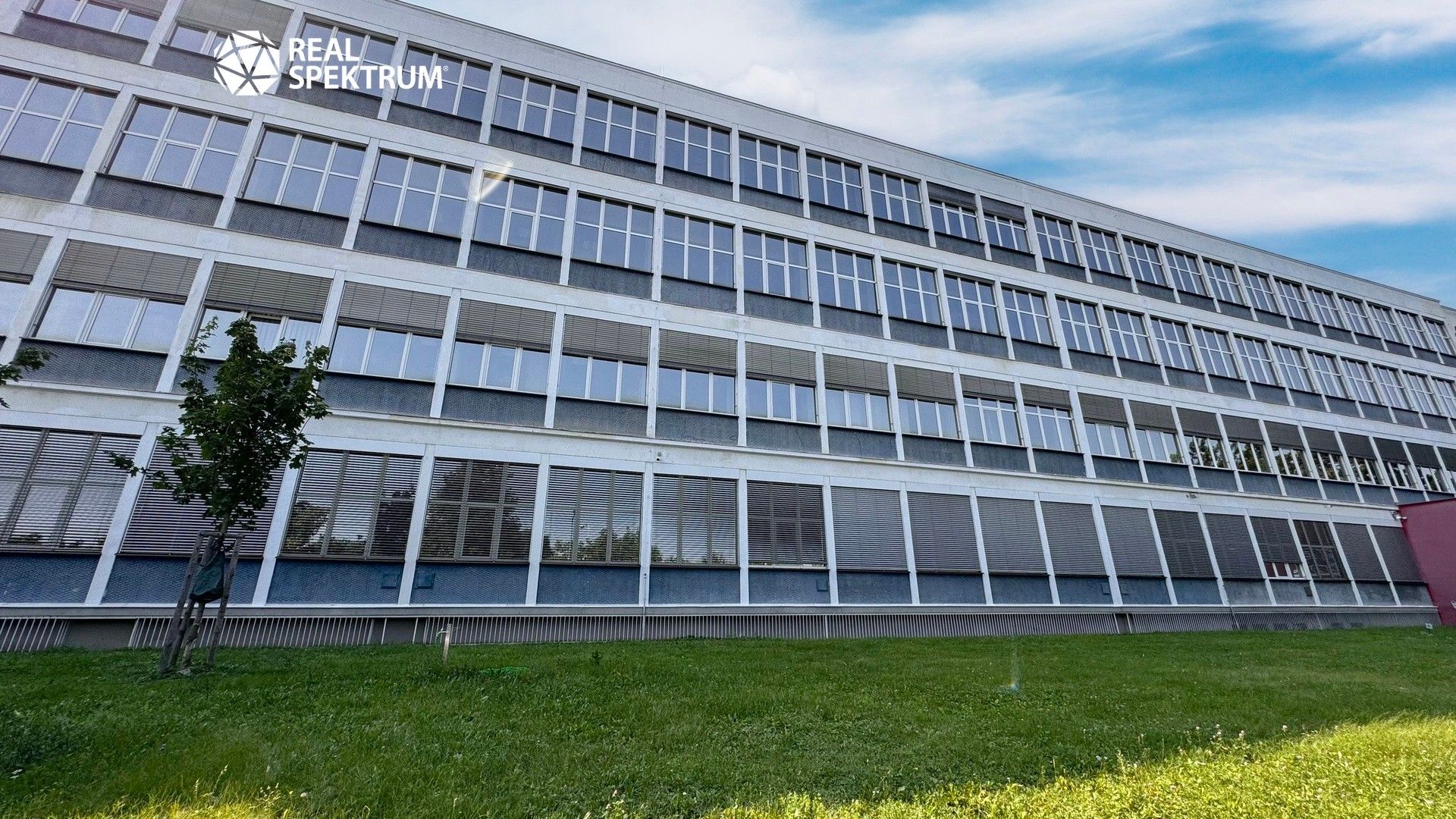 Kanceláře, Purkyňova, Brno, 1 386 m²