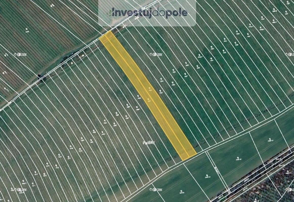 Prodej pozemek - Bukovany u Hodonína, 696 31, 4 582 m²